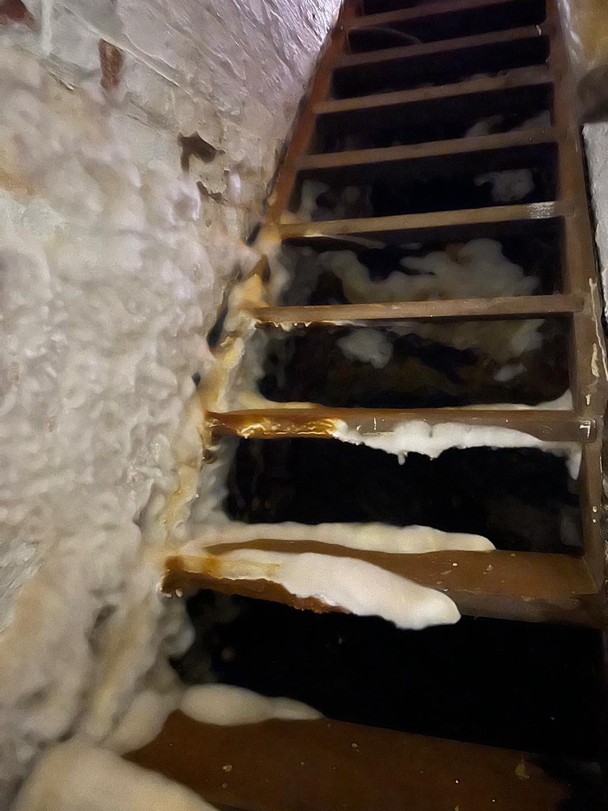 Old Swan Dry Rot Treatment | Barrier Property Care